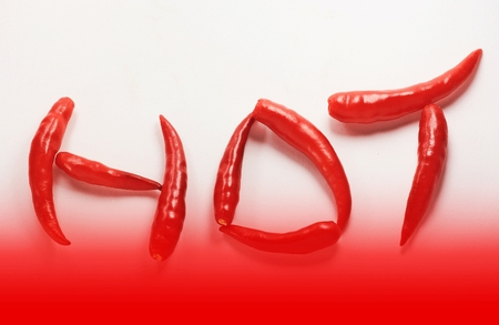 Red hot pepper on a white backgroundの写真素材