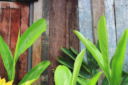 A wooden fenceの写真素材