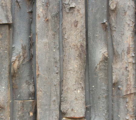 wood texture with natural patterns backgroundの写真素材