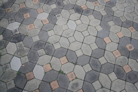 footpath in the garden