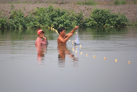 Samootprakarn - 30 October 2014 : fishermen uses the net in the fishing on Samootprakarn,Thailandのeditorial素材