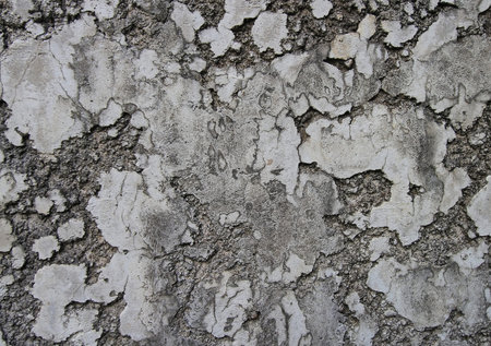 old dirty wall