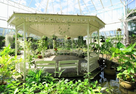 White Pavilion Plant In Garden Publicの写真素材