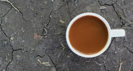 Coffee cup and the natural soil backgroundの写真素材