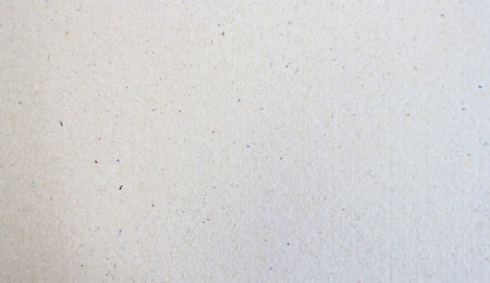 Vet paper texture or background