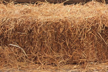 Dry straw texture