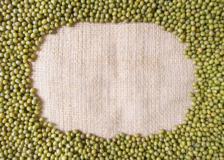 Green bean or mung bean backgroundの写真素材