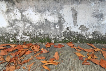 old walkways and cement walls in autumn for the backgroundの写真素材