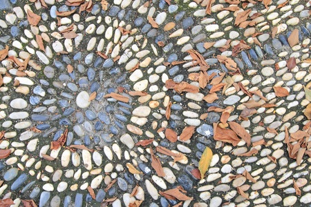 Massage stone walkway texture in the autumn garden.の写真素材