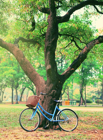 Vintage bicycle waiting near tree, in vintage retro toneの写真素材