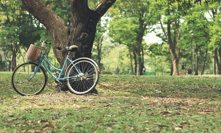 Vintage bicycle waiting near tree, in vintage retro toneの写真素材
