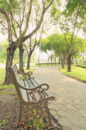 Bench under the tree in the Gardensの写真素材