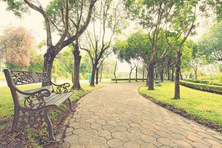 Bench under the tree in the Gardens, vintage styleの写真素材
