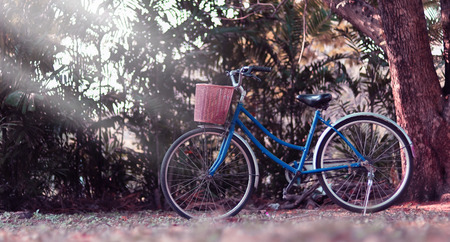 Vintage bicycle waiting near tree in the daytime., in vintage retro toneの写真素材