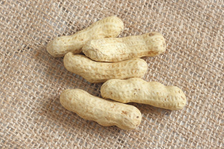 A pile of peanuts on natural sackcloth texture
