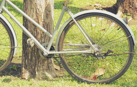 Vintage bicycle waiting near tree, in vintage retro toneの写真素材