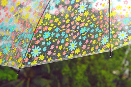 Rain drops on colorful flower umbrella for bad weather, winter or protectionの写真素材