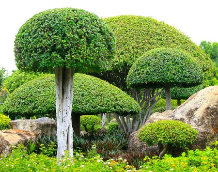 Beautiful flower garden in the parkの写真素材