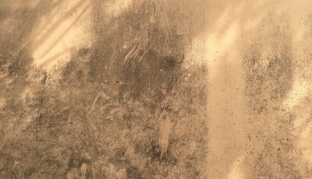 Grunge cement wall texture backgroundの写真素材