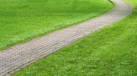 Stone Pathway in the Green Park