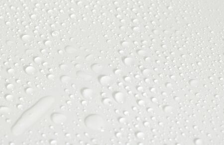 Water drops on white backgroundの写真素材