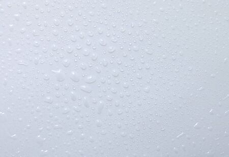 Water drops on white backgroundの写真素材