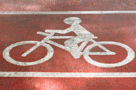 Bicycle lane on road in the park