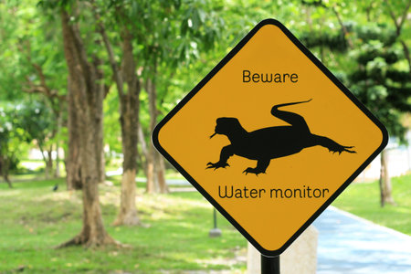 Animal warning sing, Varanus salvator in Thailandの写真素材