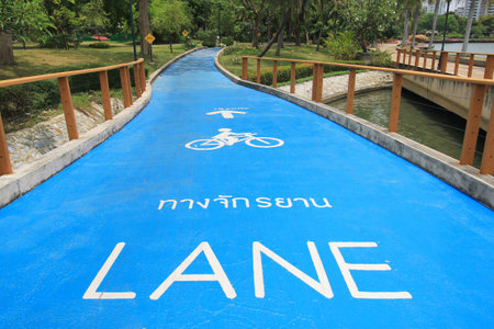 white painted sign on the asphalt for bike path