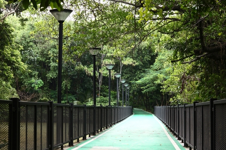 Bike lanes in Wachirabenchathat Park or State Railway Public Parkの写真素材
