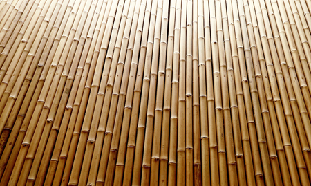 natural bamboo fence texture backgroundの写真素材