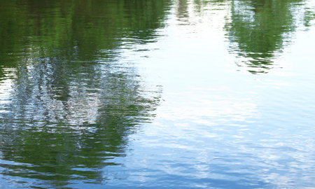 Reflection of trees in clean water waves