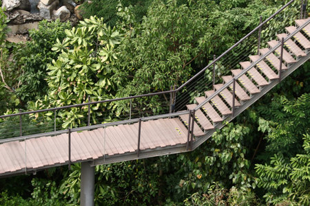 Wooden bridge, Nature trail in Bangkok, Thailand