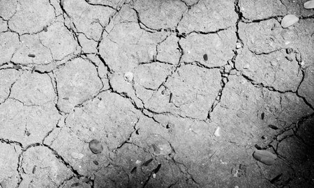 Dry soil and cracked earth texture background