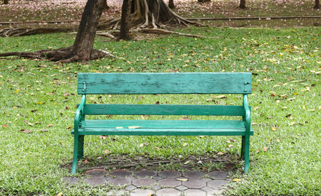 Wood benches seats in the Parkの写真素材