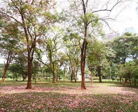 Stump with Pink flowers fall on grass