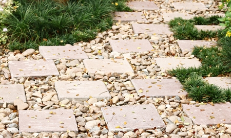 Stone Pathway in the Green Parkの写真素材