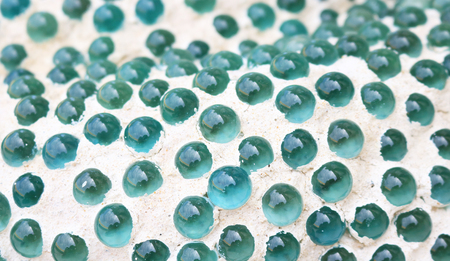 glass marble decoration textureの写真素材
