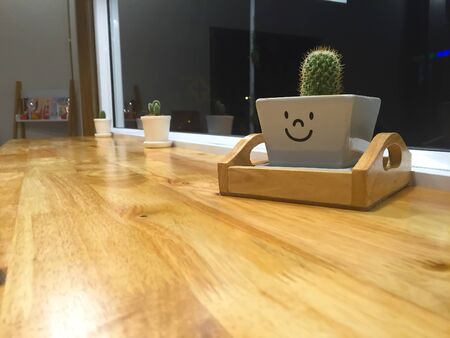 Small cactus on wooden tableの写真素材