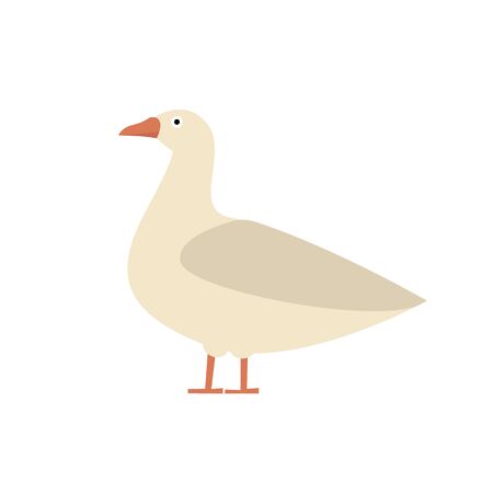 flat cartoon Goose illustrationの写真素材
