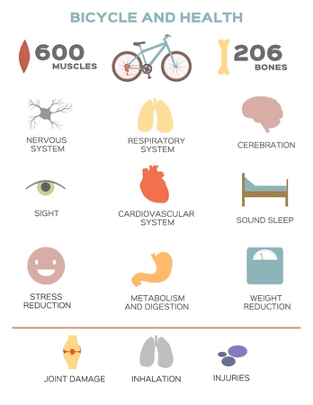 Bicycle infographic. Healthy lifestyle infographic. Isolated vector elements. Modern flat design.の写真素材