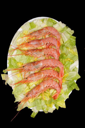 Tray of shrimp on fresh-cut lettuce in a black backgroundの写真素材