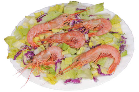 Tray of prawns with fresh lettuce and fresh cut cabbageの写真素材