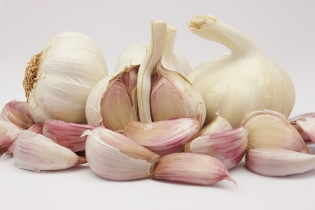 head of garlic with some teeth loose on a white backgroundの写真素材