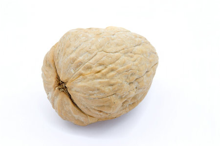 Walnuts contained a walnut in the autumn season