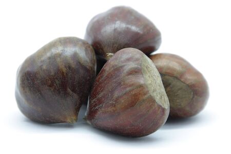  a glossy hard brown nut which develops within a bristly case and can be roasted and eatenの写真素材