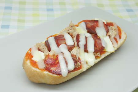 Result of combining a sandwich and a pizza, leading to paniniの写真素材