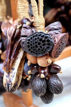 Dry pine conesの写真素材