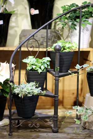 succulent planterの写真素材