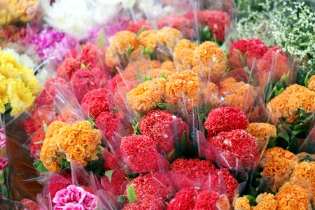 Fresh colorful flower market.の写真素材